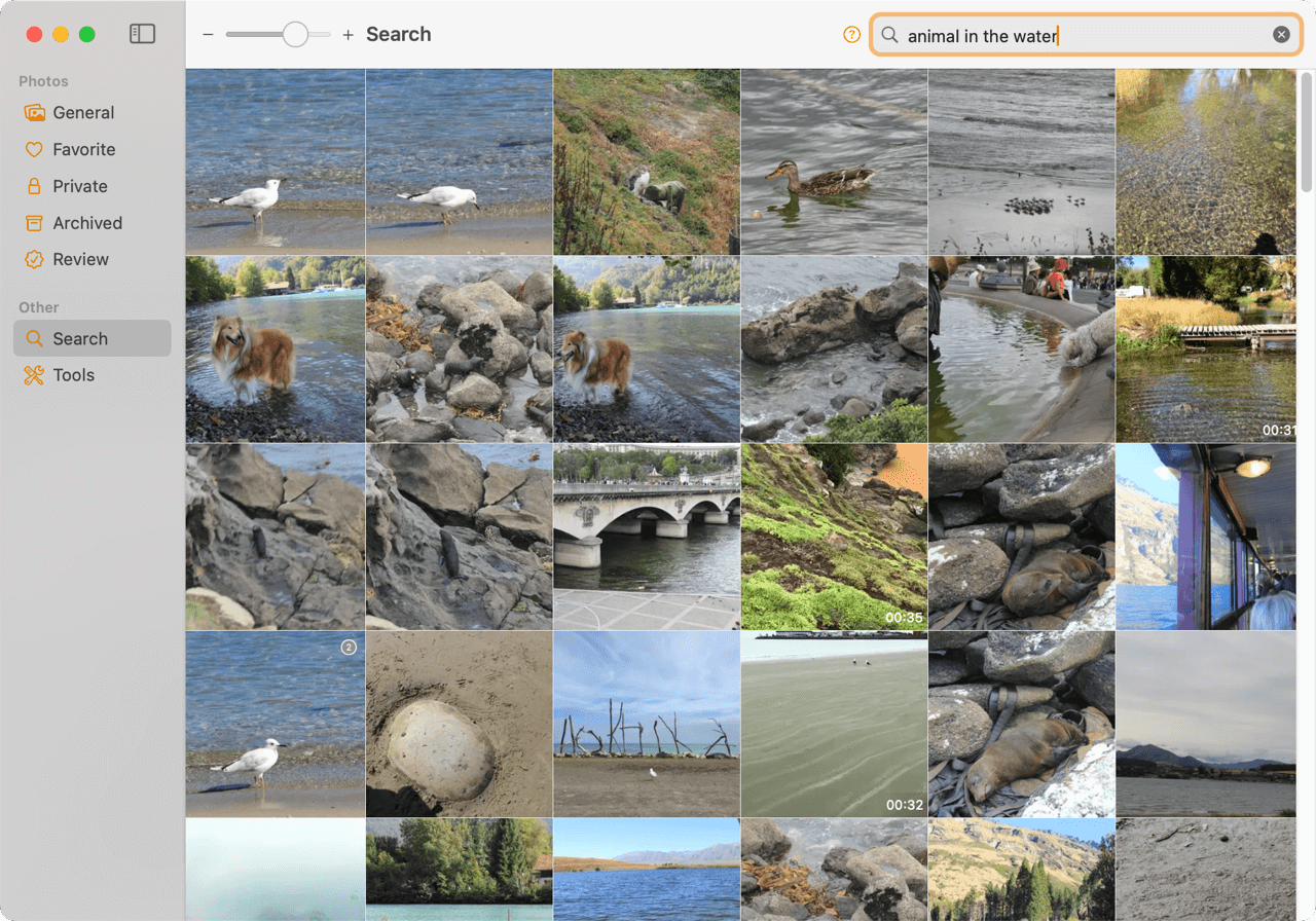 Stream natural language search on macOS